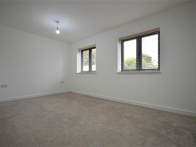 Picture 29